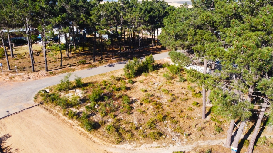 0 Bedroom Property for Sale in Bot River Avenues Western Cape